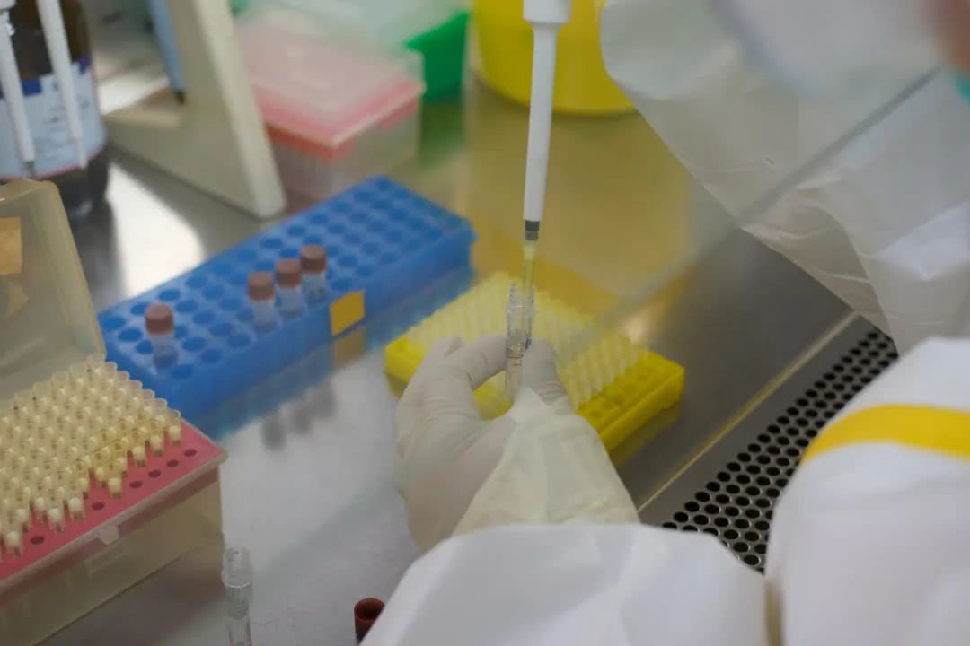 核酸檢測(cè)又降價(jià)！多地增設(shè)24小時(shí)檢測(cè)服務(wù)機(jī)構(gòu)