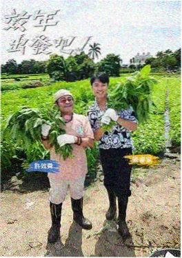 果冻大作战